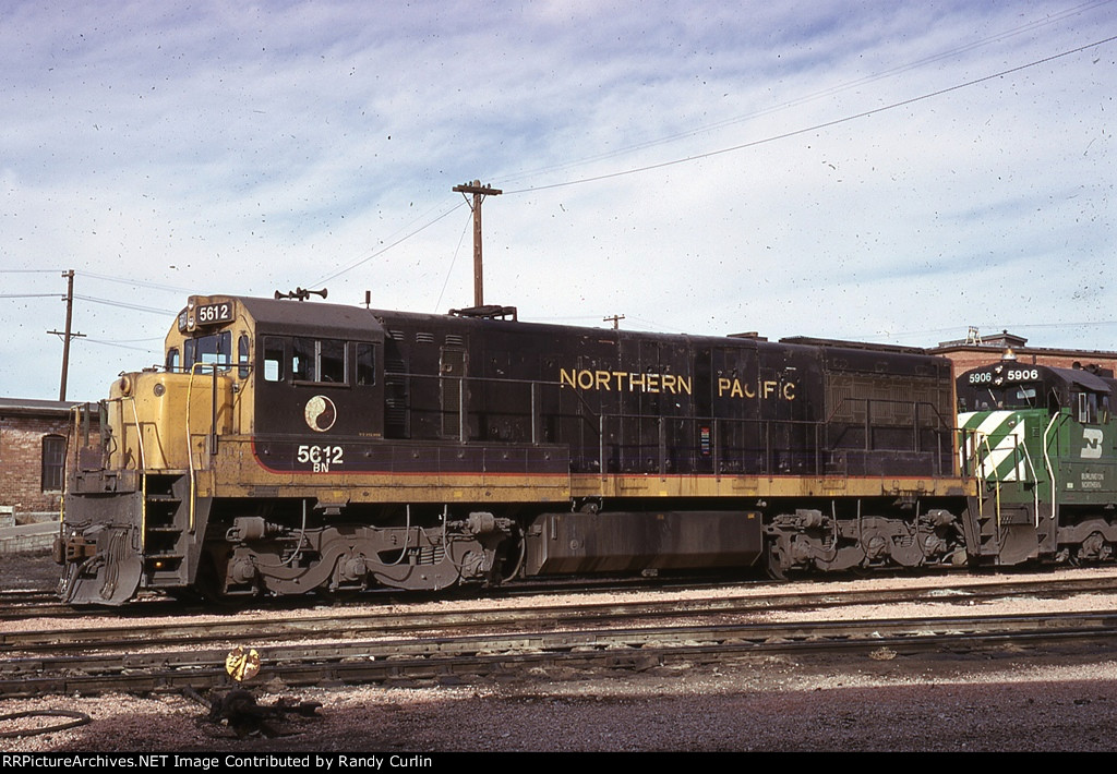 BN 5612 in NP colors